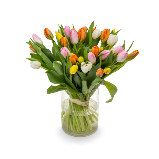 Kytice tulipánů